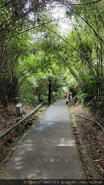 新北市五股區林梢步道、北橫古道全程--1121022