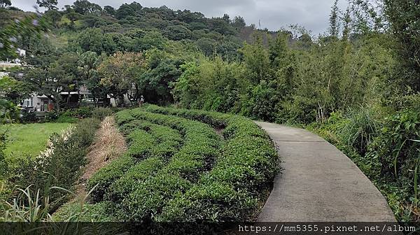 桃園市楊梅區秀才登山步道--1121028