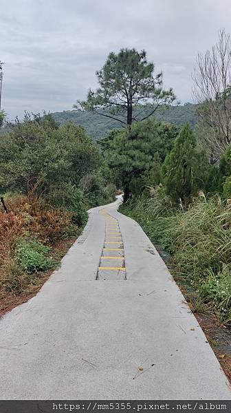 桃園市楊梅區秀才登山步道--1121028