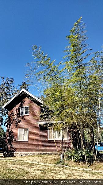 新竹縣尖石鄉梅花天湖農園、向天湖山、馬胎古道--112110