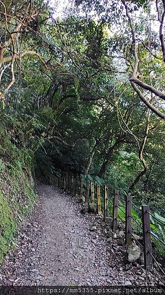 新竹縣尖石鄉梅花天湖農園、向天湖山、馬胎古道--112110