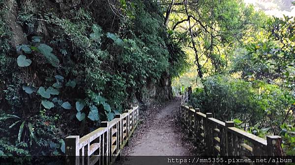 新竹縣尖石鄉梅花天湖農園、向天湖山、馬胎古道--112110