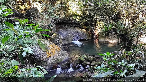 新竹縣尖石鄉梅花天湖農園、向天湖山、馬胎古道--112110