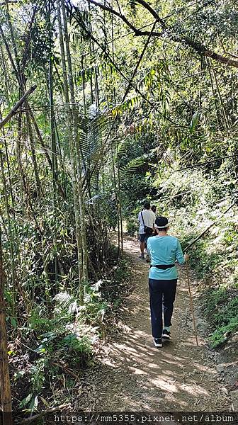 新竹縣尖石鄉梅花天湖農園、向天湖山、馬胎古道--112110