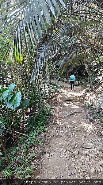 新竹縣尖石鄉梅花天湖農園、向天湖山、馬胎古道--112110