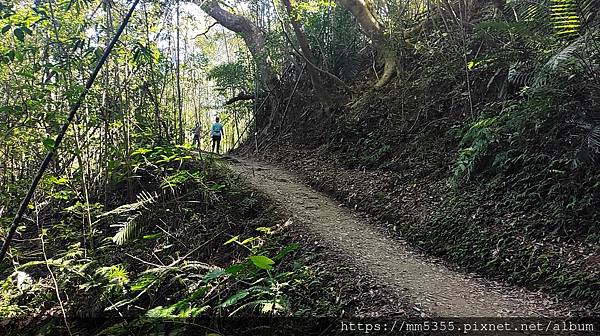 新竹縣尖石鄉梅花天湖農園、向天湖山、馬胎古道--112110