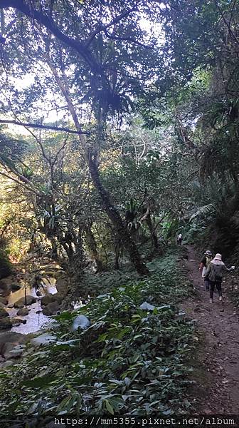 新竹縣尖石鄉梅花天湖農園、向天湖山、馬胎古道--112110