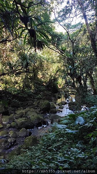 新竹縣尖石鄉梅花天湖農園、向天湖山、馬胎古道--112110