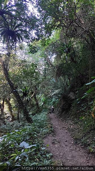 新竹縣尖石鄉梅花天湖農園、向天湖山、馬胎古道--112110