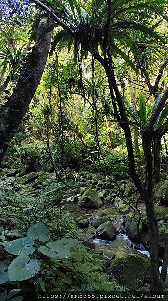 新竹縣尖石鄉梅花天湖農園、向天湖山、馬胎古道--112110