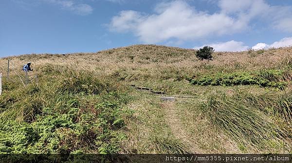 新北市金山區魚路古道(八煙)--1121118