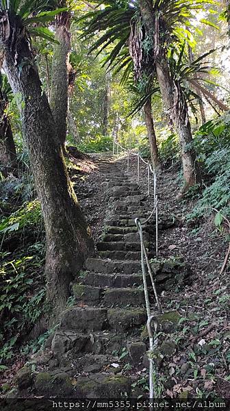 新竹縣北埔觀音寺金龜岩、一線天、五指山橫向步道繞一圈--11