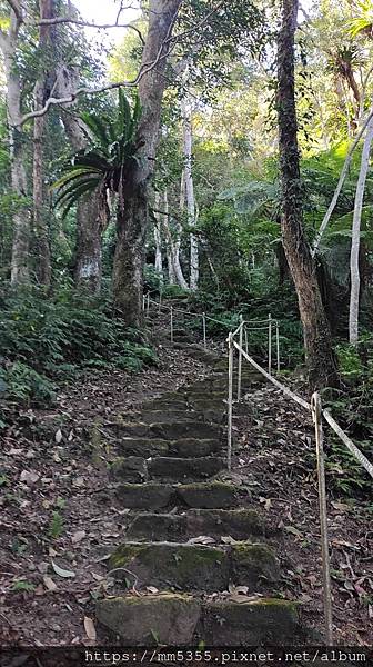 新竹縣北埔觀音寺金龜岩、一線天、五指山橫向步道繞一圈--11