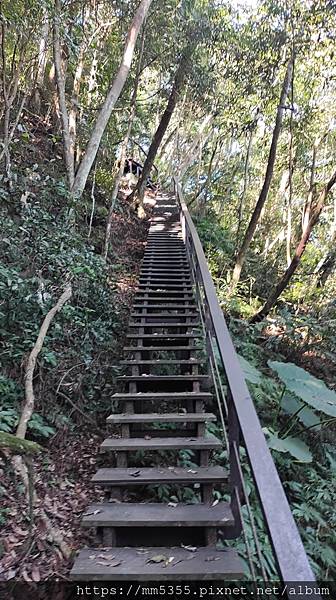 新竹縣北埔觀音寺金龜岩、一線天、五指山橫向步道繞一圈--11