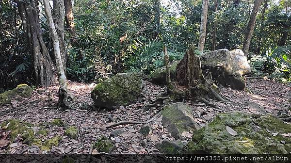 新竹縣北埔觀音寺金龜岩、一線天、五指山橫向步道繞一圈--11