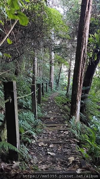 新竹縣北埔觀音寺金龜岩、一線天、五指山橫向步道繞一圈--11