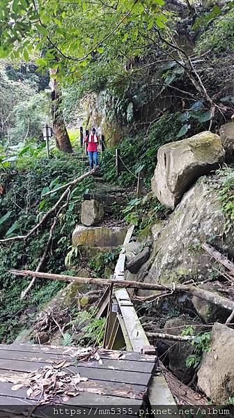 新竹縣北埔觀音寺金龜岩、一線天、五指山橫向步道繞一圈--11