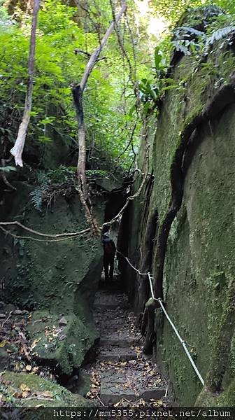 新竹縣北埔觀音寺金龜岩、一線天、五指山橫向步道繞一圈--11