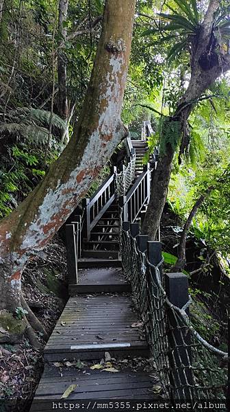 新竹縣北埔觀音寺金龜岩、一線天、五指山橫向步道繞一圈--11