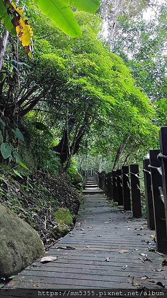 新竹縣北埔觀音寺金龜岩、一線天、五指山橫向步道繞一圈--11