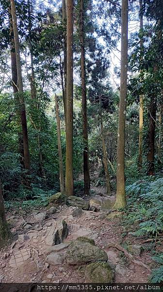 新竹縣北埔觀音寺金龜岩、一線天、五指山橫向步道繞一圈--11