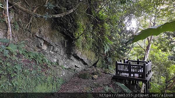 新竹縣北埔觀音寺金龜岩、一線天、五指山橫向步道繞一圈--11