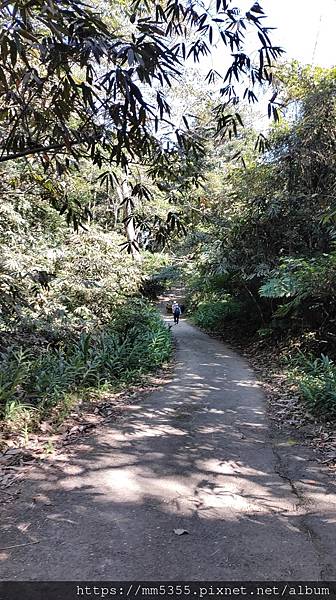 新竹縣北埔觀音寺金龜岩、一線天、五指山橫向步道繞一圈--11