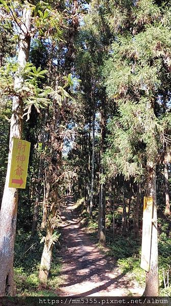 新竹縣北埔觀音寺金龜岩、一線天、五指山橫向步道繞一圈--11