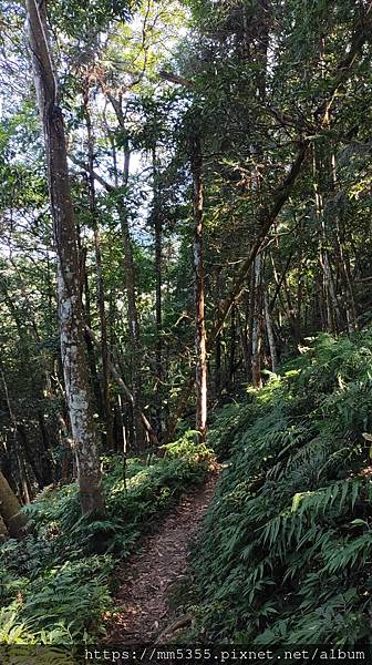 新竹縣北埔觀音寺金龜岩、一線天、五指山橫向步道繞一圈--11