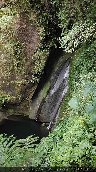 桃園市復興區蝙蝠洞、觀音洞步道、金平山---1121202