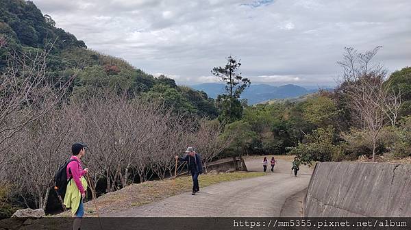 桃園市復興區蝙蝠洞、觀音洞步道、金平山---1121202