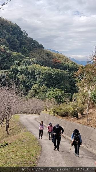 桃園市復興區蝙蝠洞、觀音洞步道、金平山---1121202