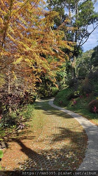 桃園市復興區蝙蝠洞、觀音洞步道、金平山---1121202