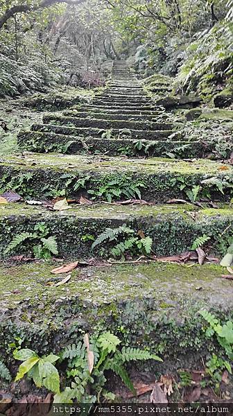 新北市瑞芳區猴硐金字碑古道、三貂崙、大粗坑古道繞一圈---1