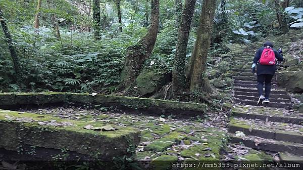 新北市瑞芳區猴硐金字碑古道、三貂崙、大粗坑古道繞一圈---1