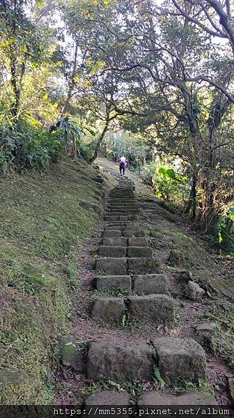 新北市瑞芳區猴硐金字碑古道、三貂崙、大粗坑古道繞一圈---1