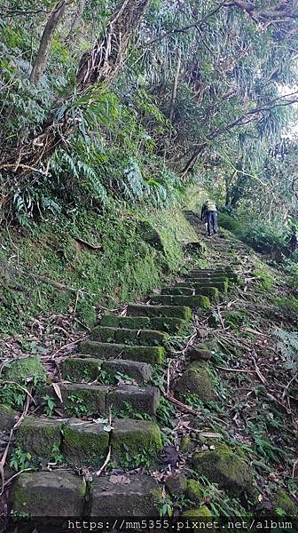 新北市瑞芳區猴硐金字碑古道、三貂崙、大粗坑古道繞一圈---1