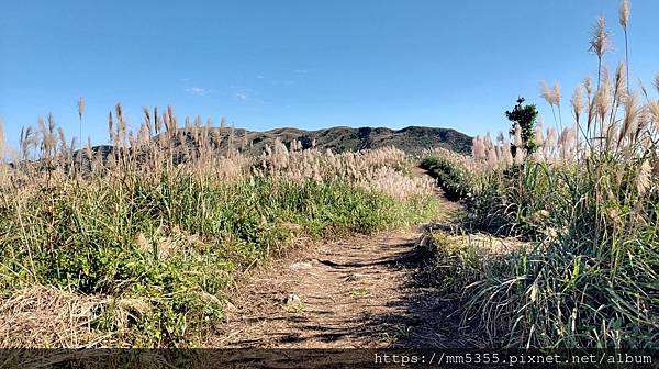 新北市瑞芳區猴硐金字碑古道、三貂崙、大粗坑古道繞一圈---1