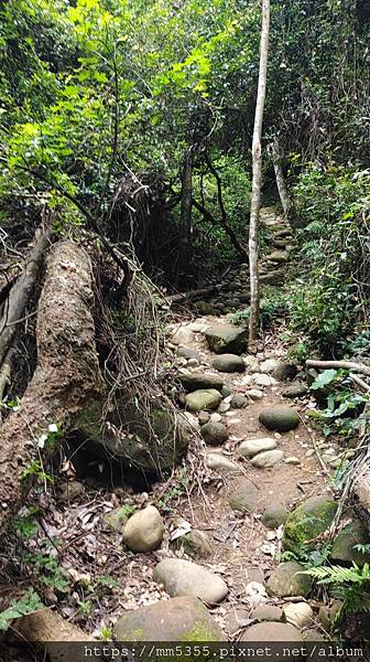 新竹縣新埔鎮蓮華山三聖宮飛龍步道--1121233