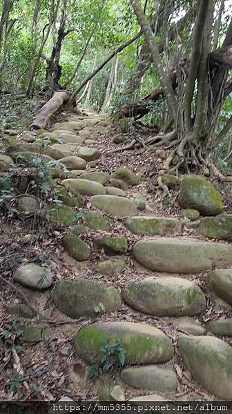 新竹縣新埔鎮蓮華山三聖宮飛龍步道--1121233