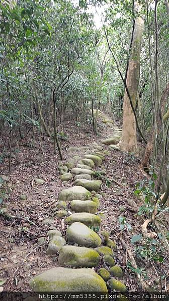 新竹縣新埔鎮蓮華山三聖宮飛龍步道--1121233