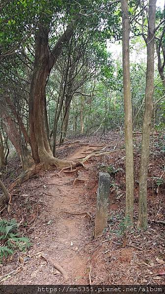 新竹縣新埔鎮蓮華山三聖宮飛龍步道--1121233