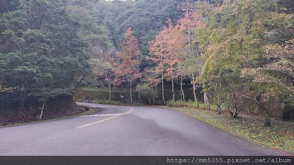 桃園市東眼山東滿步道--1121230