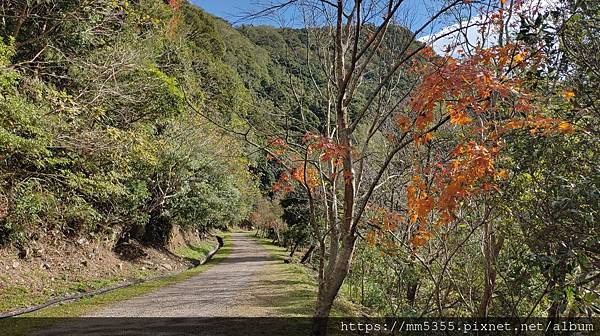 桃園市東眼山東滿步道--1121230