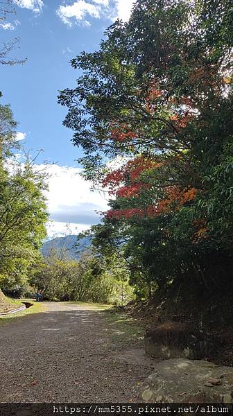 桃園市東眼山東滿步道--1121230