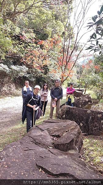 桃園市東眼山東滿步道--1121230