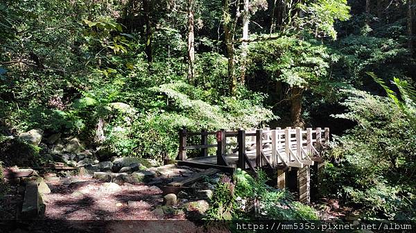 桃園市東眼山東滿步道--1121230