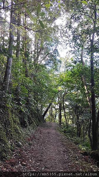 桃園市東眼山東滿步道--1121230