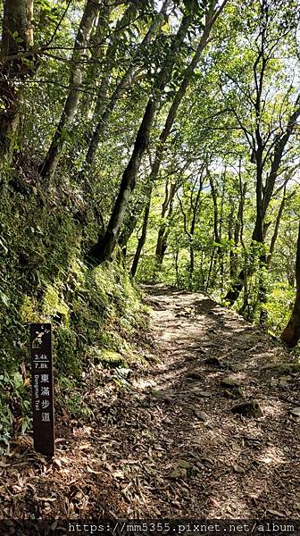 桃園市東眼山東滿步道--1121230