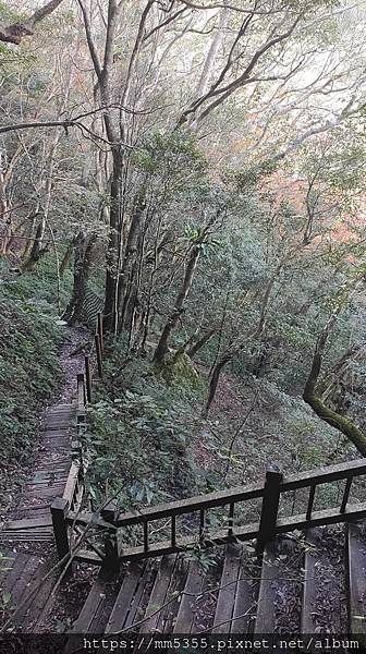 桃園市東眼山東滿步道--1121230